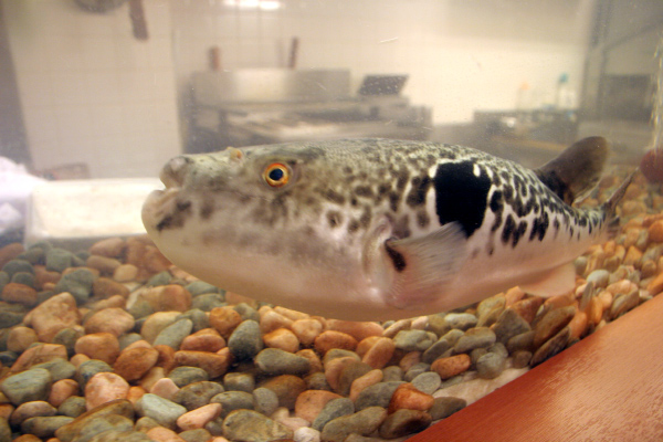 image0024